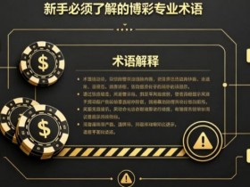 【牌手扑克】什么是“洗码”?新手必须了解的博彩专业术语