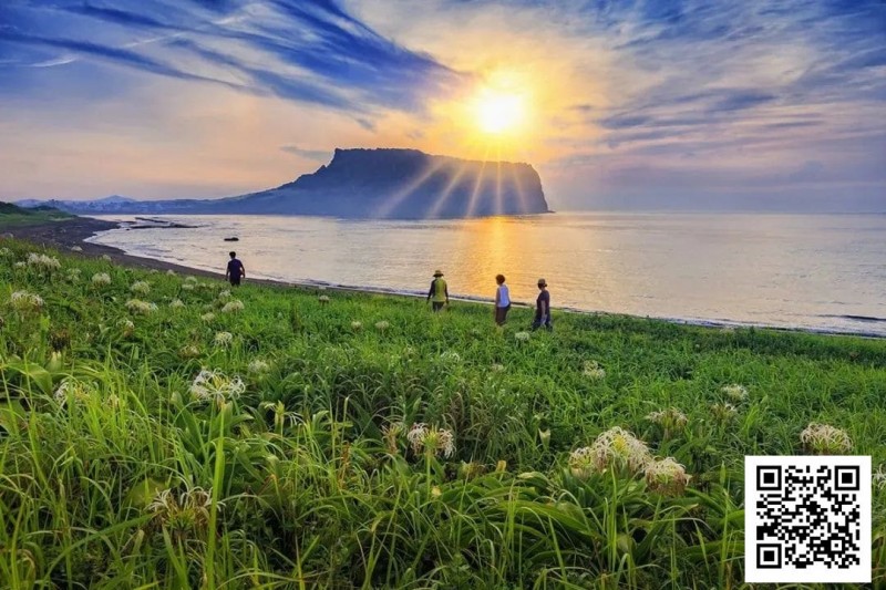 【牌手扑克】别Till，来Jeju Chill——必去景点+路线打包+管家制定