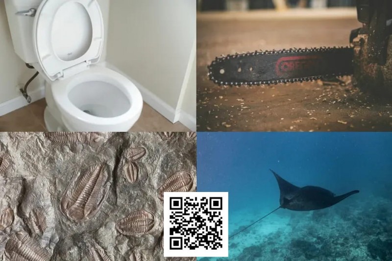 【牌手扑克】扑克界谁的绰号最炸裂：电锯、魔鬼鱼、石化人、马桶？