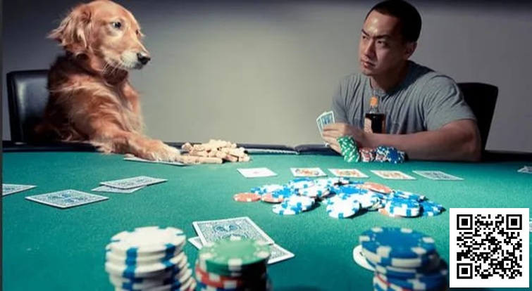 【牌手扑克】他用垃圾牌狂输，却坚持“牌不重要”，结局令人深思